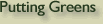 artificial backyard putting greens