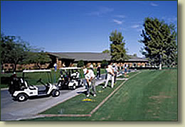 artificial commercial grass