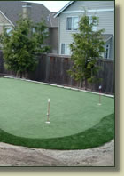 washington artificial grass seattle synthetic grass washington synthetic grass
